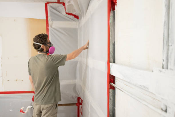 Best Mold-Related Health Consultation  in Lemay, MO